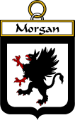 Irish Badge for Morgan