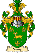 Welsh Family Coat of Arms (v.23) for Young (of Tredrysi, Pembrokeshire)
