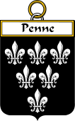 Irish Badge for Penne