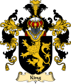 Irish Family Coat of Arms (v.25) King