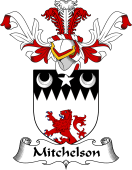 Coat of Arms from Scotland for Mitchelson