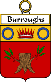 Irish Badge for Burroughs