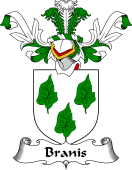 Coat of Arms from Scotland for Branis