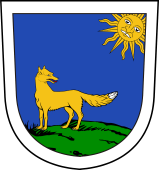 Swiss Coat of Arms for Rhynhart