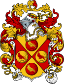English or Welsh Coat of Arms for Bidwell (Devon)