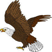 Birds of Prey Clipart image: Bald Eagle Rising