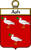 Irish Badge for Ash