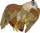 Birds of Prey Clipart image: Chimachima Caracara Eagle