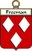 Irish Badge for Freeman