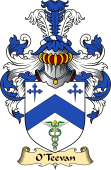 Irish Family Coat of Arms (v.23) for O'Teevan