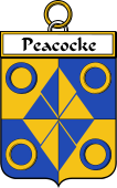 Irish Badge for Peacocke