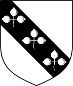 English Family Shield for Shadworth
