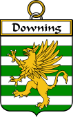 Irish Badge for Downing