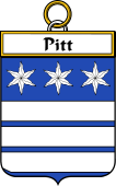 Irish Badge for Pitt