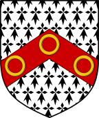 English Family Shield for Rigg (s)