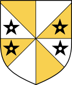 Irish Family Shield for Glennon or Glenane (Mayo)