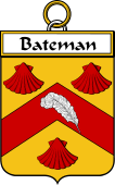 Irish Badge for Bateman
