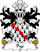 Welsh Coat of Arms for Pye (of Herefordshire)