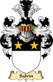 English Coat of Arms (v.23) for the family Salvin