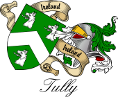 Sept (Clan) Coat of Arms from Ireland for Tully (MacAtilla)