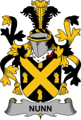 Irish Coat of Arms for Nunn