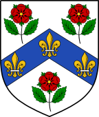 English Family Shield for Cope