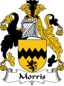 Irish Coat of Arms for Morris