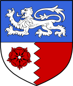 Irish Family Shield for O'Henry (Galway)