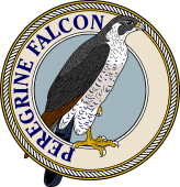 Birds of Prey Clipart image: Peregrine Falcon-M