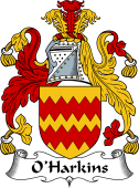 Irish Coat of Arms for O'Harkins or Harkan