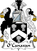 Irish Coat of Arms for O'Canavan