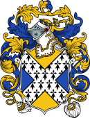 English or Welsh Coat of Arms for Backhouse (London and Cumberland)
