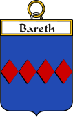 Irish Badge for Bareth