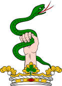 Family crest from Ireland for Leech (Cork)