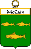 Irish Badge for McCain or Kane
