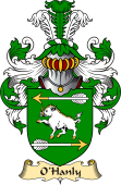 Irish Family Coat of Arms (v.23) for O'Hanly