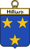 Irish Badge for Hilliard