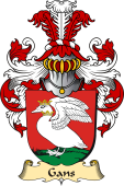 v.23 Coat of Family Arms from Germany for Gans