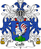 Italian Coat of Arms for Galli
