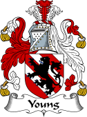 Irish Coat of Arms for Young