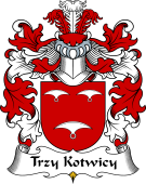 Polish Coat of Arms for Trzy Kotwicy