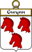 Irish Badge for Gwynn