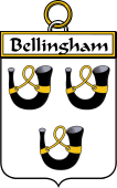 Irish Badge for Bellingham