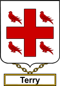English Coat of Arms Shield Badge for Terry