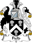 English Coat of Arms for Field