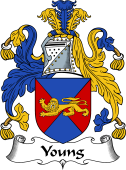 English Coat of Arms for Young II