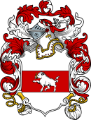 English or Welsh Coat of Arms for Swinford