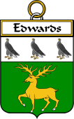 Irish Badge for Edwards