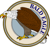 Birds of Prey Clipart image: Bald Eagle-M