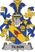 Irish Coat of Arms for Tilson